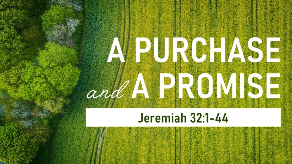 A Purchase and a Promise Image