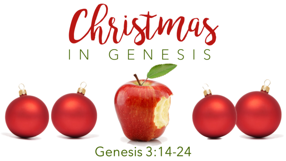 Christmas in Genesis Image