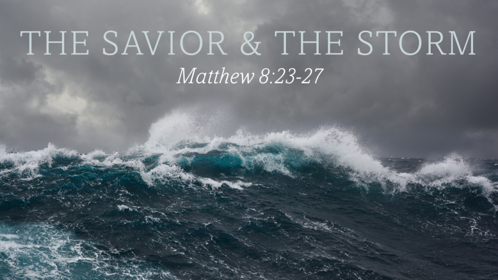 The Savior & The Storm Image