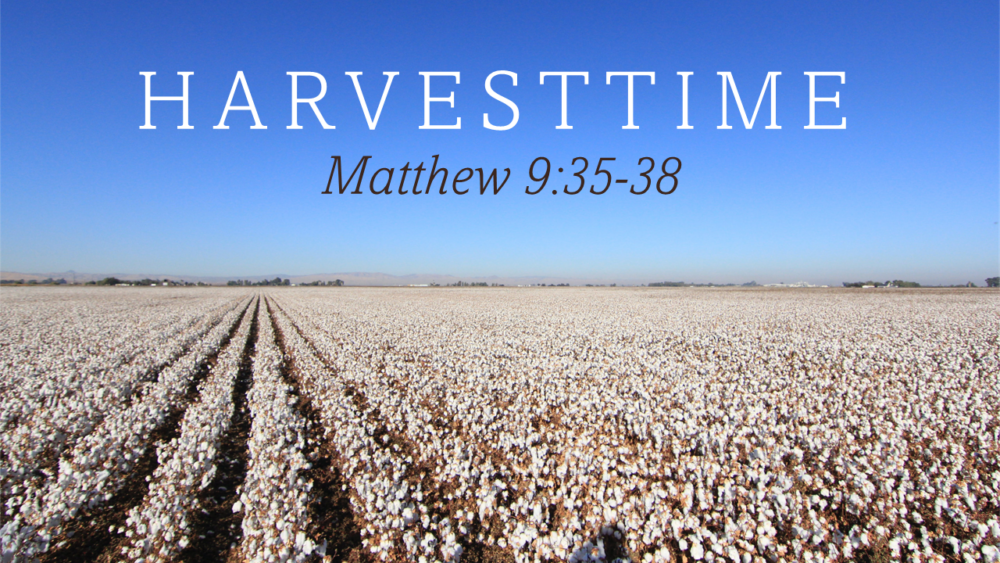 Harvesttime Image