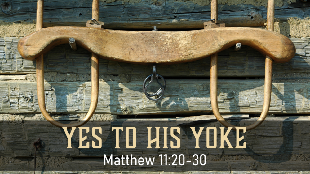 Yes to His Yoke