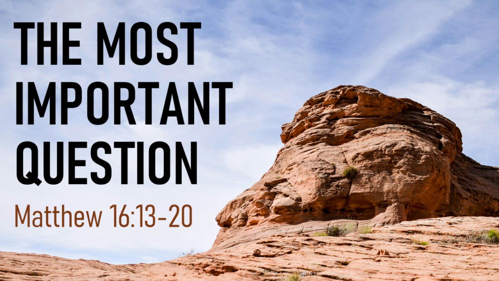 The Most Important Question Image