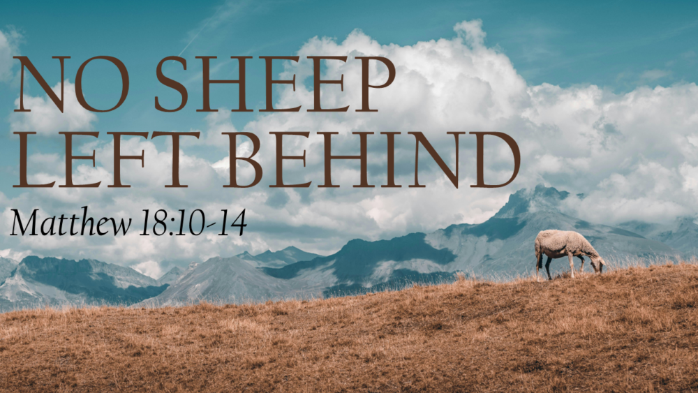 No Sheep Left Behind