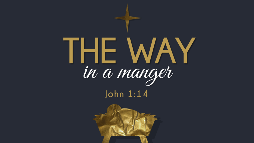 The Way In The Manger Image