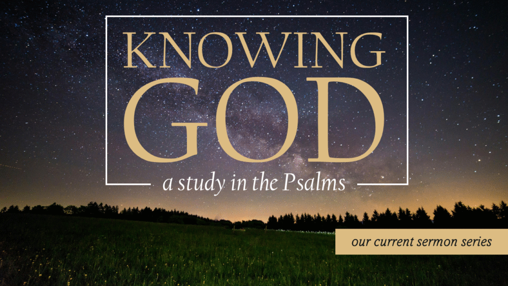 Knowing God's Mission Image