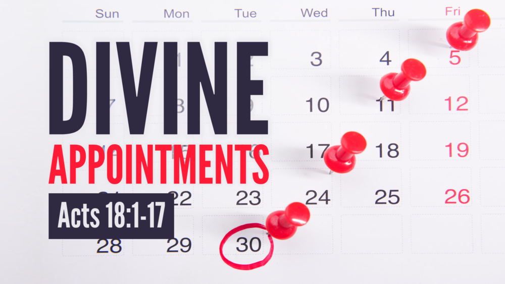 Divine Appointments Image